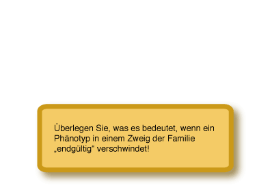 Tipp 1b