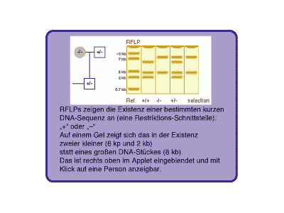 Info RFLPs