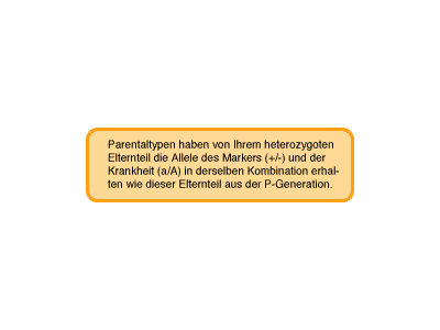 Tipp 2b
