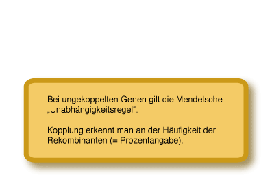 Tipp 1b